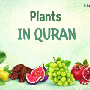 plants in quran
